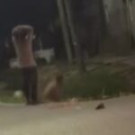 Pilar: mató a golpes con un bate de béisbol a su tío durante una pelea familiar