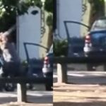 Un motociclista mató a golpes al conductor de un auto en medio de una pelea por un accidente en la calle